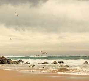 Alquiler de coches en Amadora