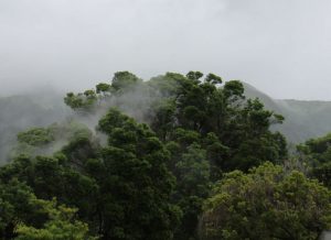 Alquiler de coches en Terceira